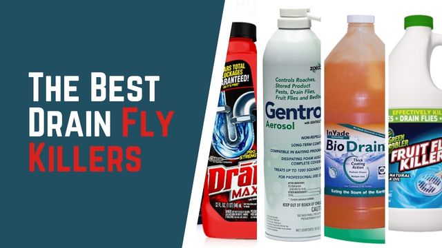 best drain cleaner a comprehensive guide 1