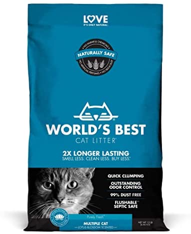 discovering the worlds best cat litter
