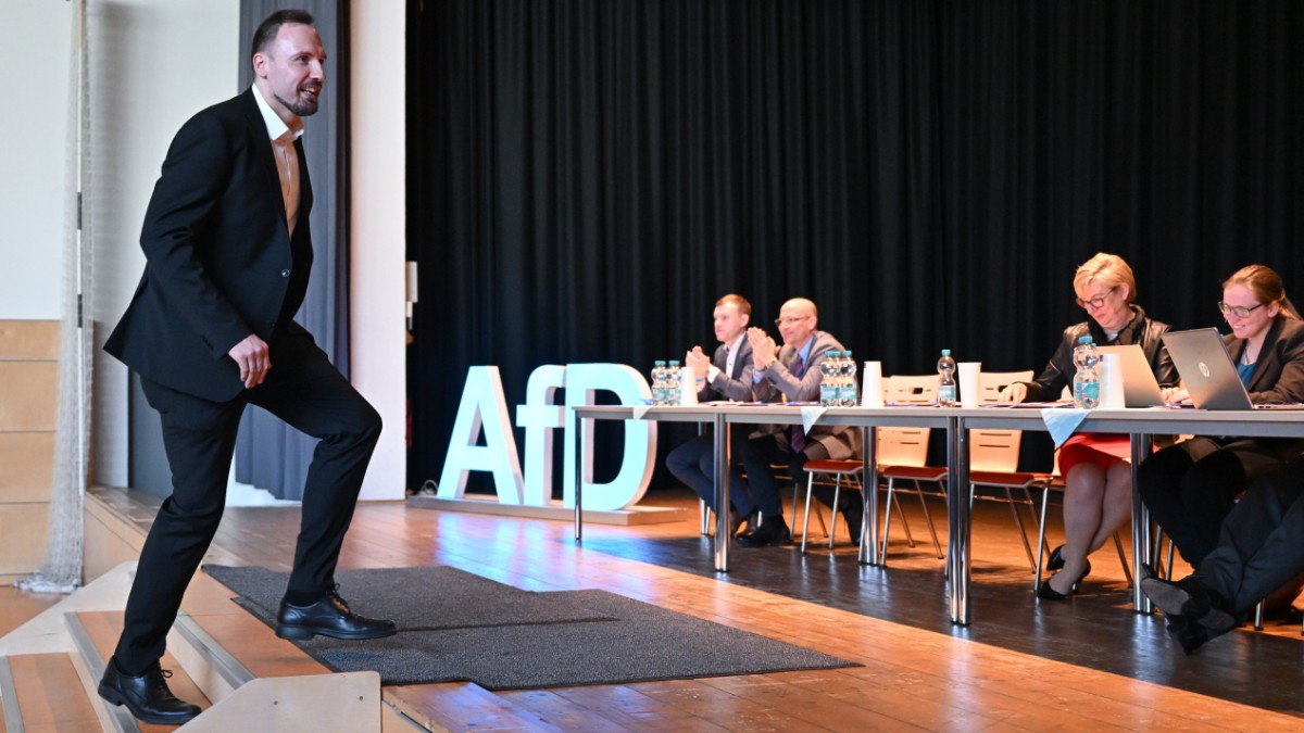 AfD überprüft Lebensläufe ihrer Europawahl-Kandidaten – mit teuren Folgen? – Politik